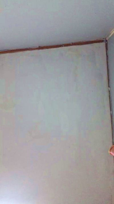 catalina243 live cam profile