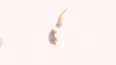 cataplay live cam on Cam4