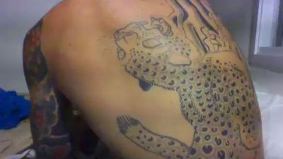 catdre live cam on Cam4