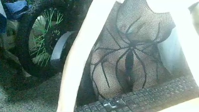 catira live cam on Cam4