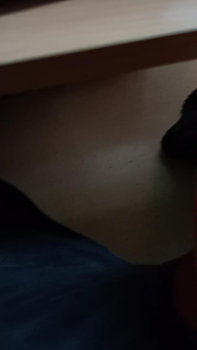 cbavoyeur live cam on Cam4