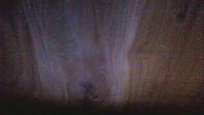 centjjoseph live cam on Cam4
