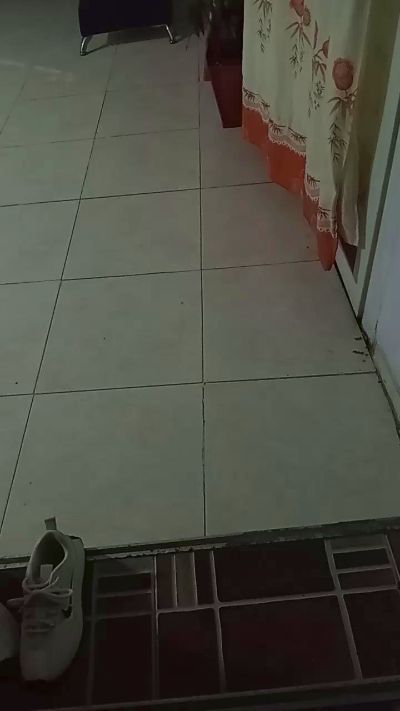 cesirry live cam on Cam4