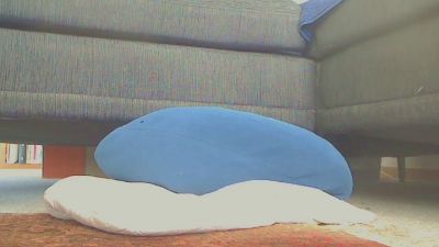 chasy56 live cam on Cam4