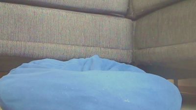 chasy56 live cam on Cam4