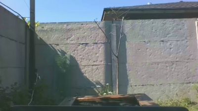 chiraq1945 live cam on Cam4