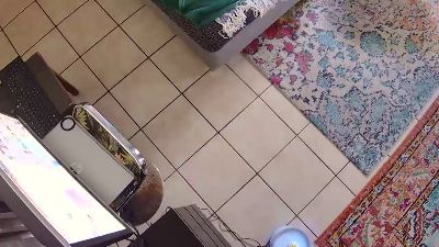 cho54_fun live cam on Cam4
