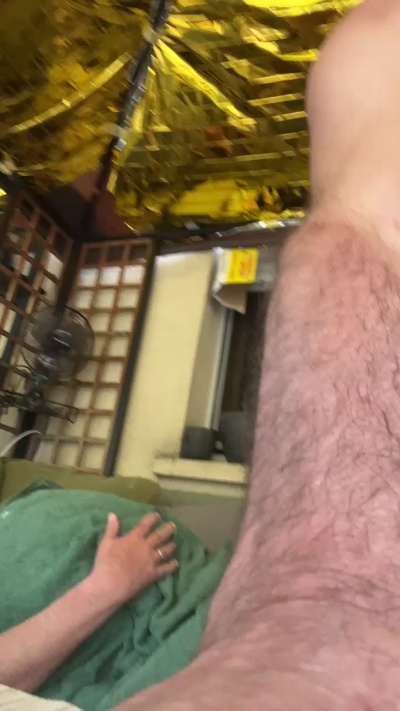cho54_fun live cam on Cam4