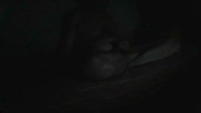 chubbypassif live cam on Cam4