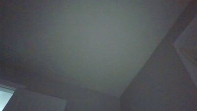 cinnamon2000 webcam