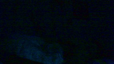 cleverpitzimitz live cam on Cam4