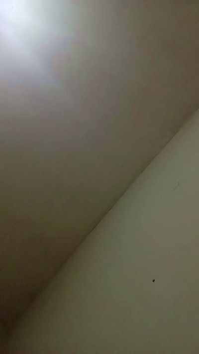 cloehot live cam on Cam4
