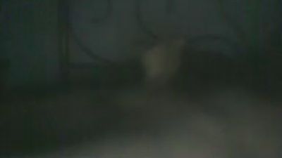 compale33 live cam on Cam4