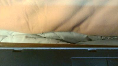 conybellatraves live cam on Cam4