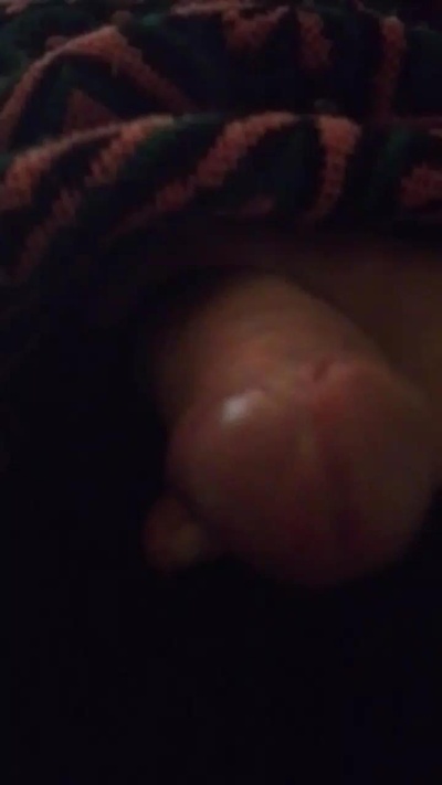 Profile and Statistics for cosmo831 on Cam4