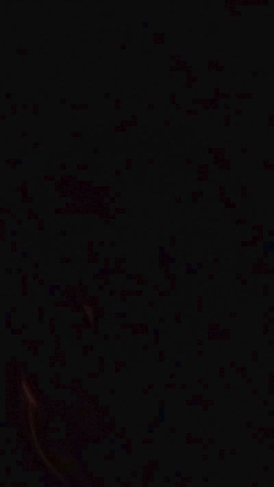 coupleamatorial live cam on Cam4