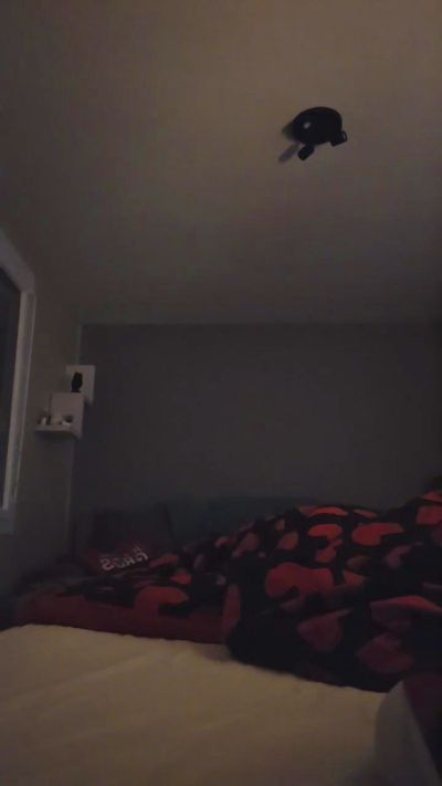 Preview of couplecoquin221