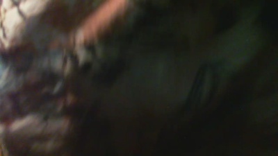 cpl44xx live cam on Cam4