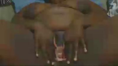 crazypervert live cam on Cam4
