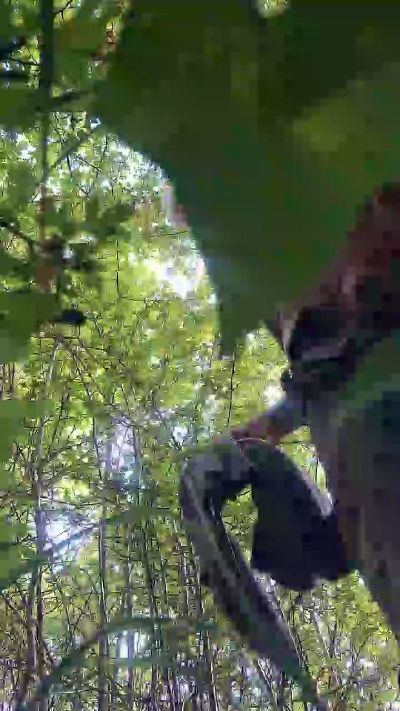 cruiser_xxx Live Chat on Cam4
