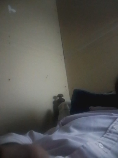 cumbre2 live cam on Cam4