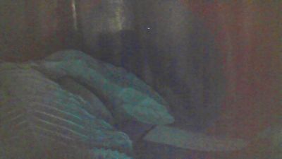 cutie_pie_hot live cam on Cam4