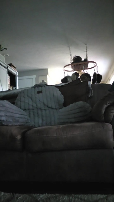 cuttdog2 live cam on Cam4