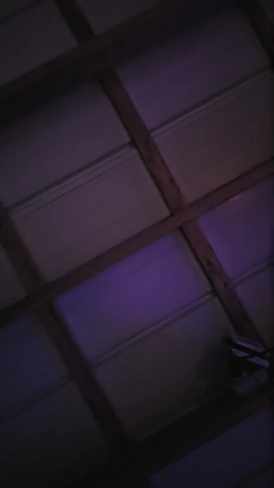 cuttdog2 live cam on Cam4