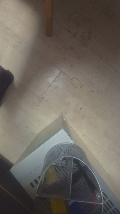 d7xxt4 live cam on Cam4