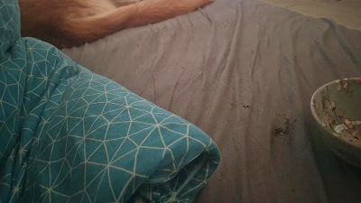 d7xxt4 live cam on Cam4