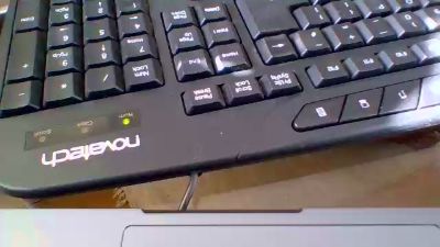 dadbearuk2 live cam on Cam4