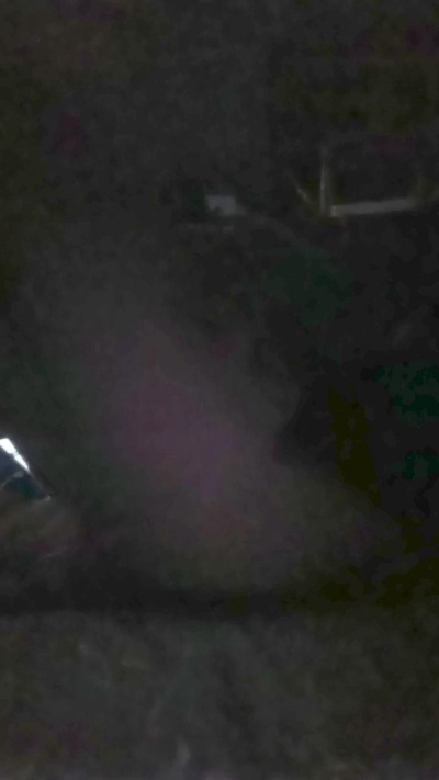 damian79666_hot live cam on Cam4