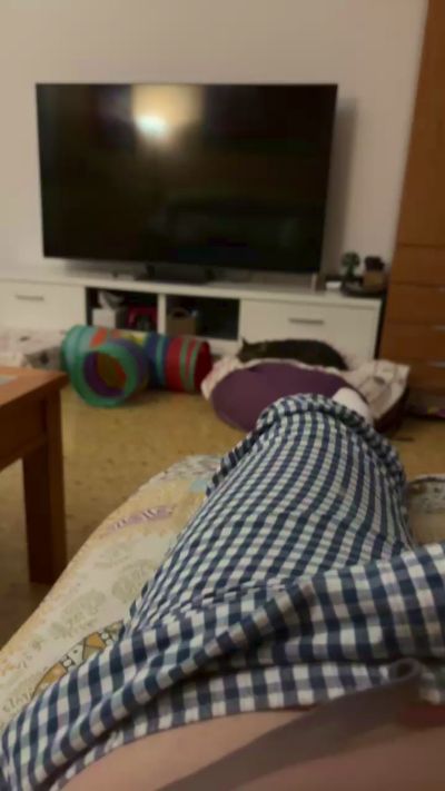 danis7 live cam on Cam4