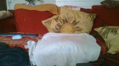 darkbrsujo3a666 live cam on Cam4