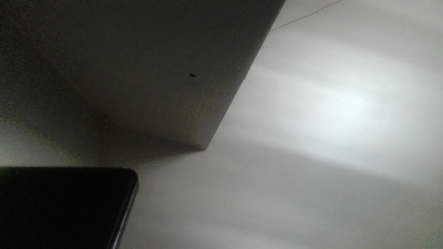 dbarnz1 live cam on Cam4