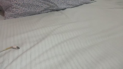 deddino1 live cam on Cam4