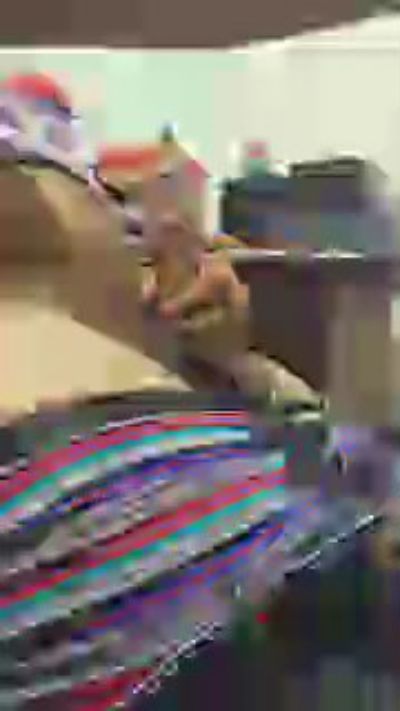 deividmb9701 live cam on Cam4