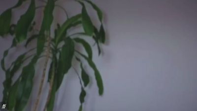 delight_Lexie live cam on Cam4