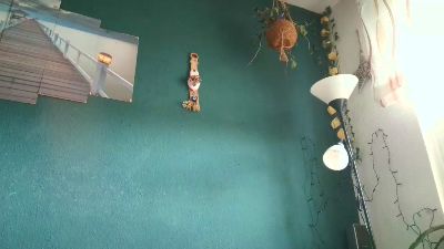 dennisnackig live cam on Cam4