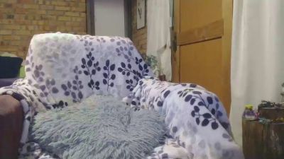 deycam Cam4 cam model