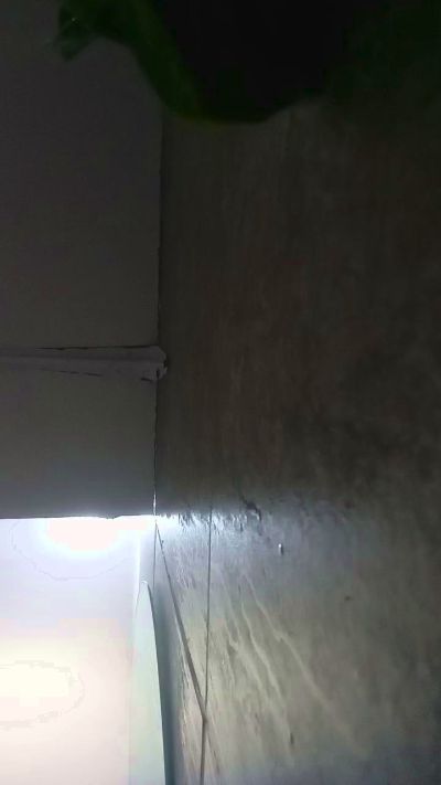 deysi2 live cam on Cam4