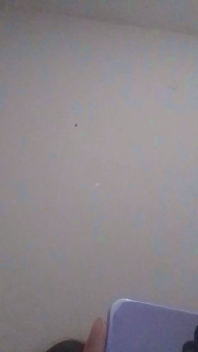 deysi2 live cam on Cam4