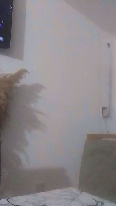 deysi2 live cam on Cam4