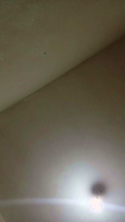 deysi2 live cam on Cam4