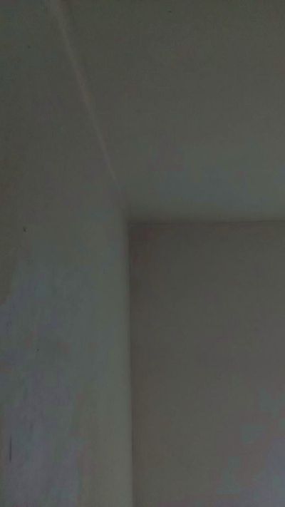 deysi2 live cam on Cam4