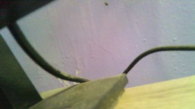 dianna19 live cam on Cam4