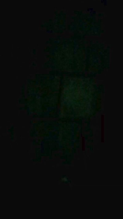 dino7 live cam on Cam4