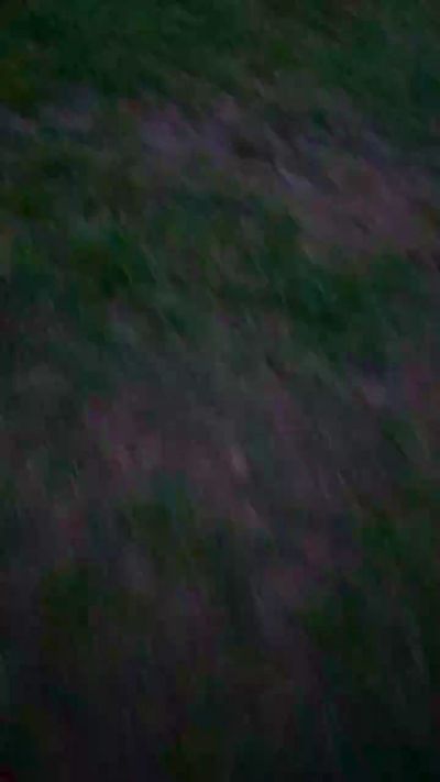 dino7 live cam on Cam4