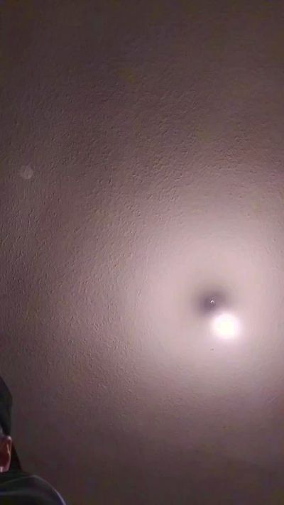 dino7 live cam on Cam4