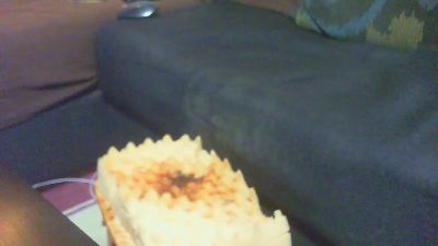 dogready live cam on Cam4